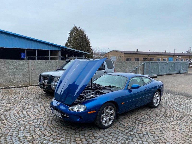 jag xk8.jpg