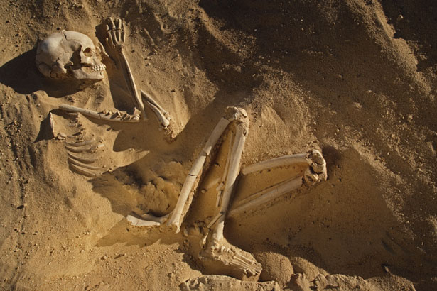 skeleton-woman-615.jpg
