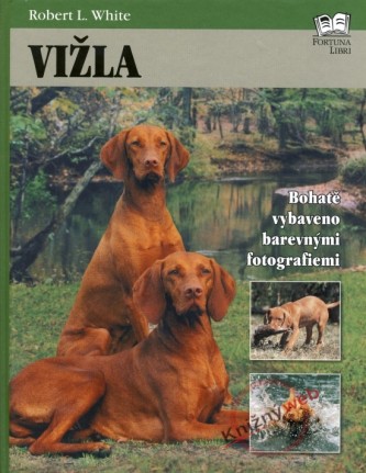 vizla.jpg