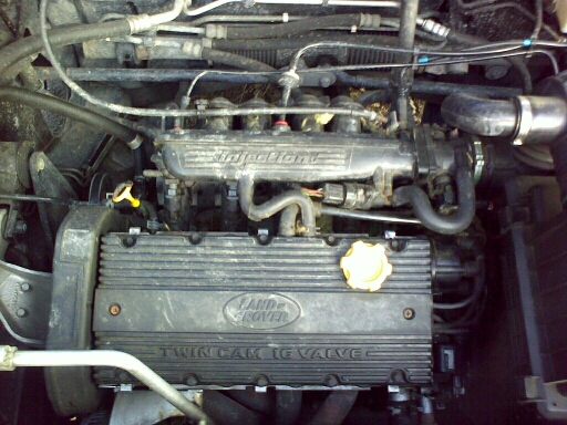23082009285 crop.jpg