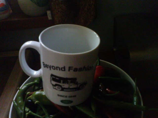 Beyond fashion.JPG
