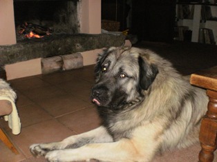 PA030114.JPG
