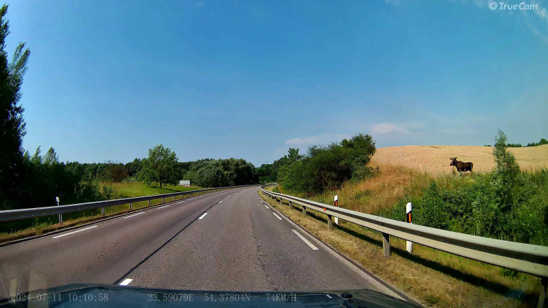 vlcsnap-2024-07-14-18h25m02s741.jpg