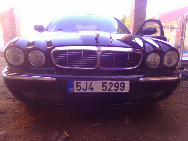 IMG_20250316_152021.jpg