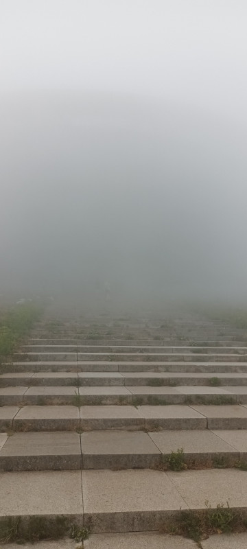 20250729_135835.jpg