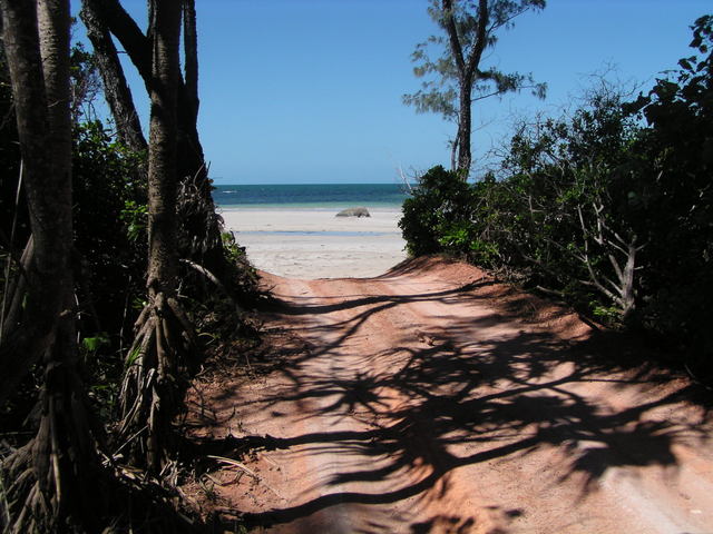 Cape York - Iron Range National Park