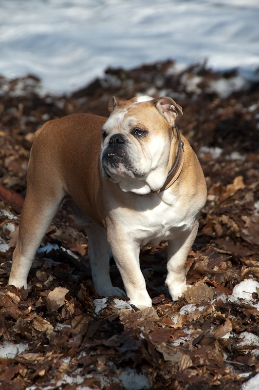 DSC_8796-1.jpg