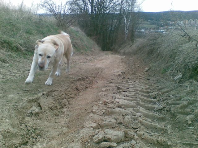 Jarni projizdka (15).jpg
