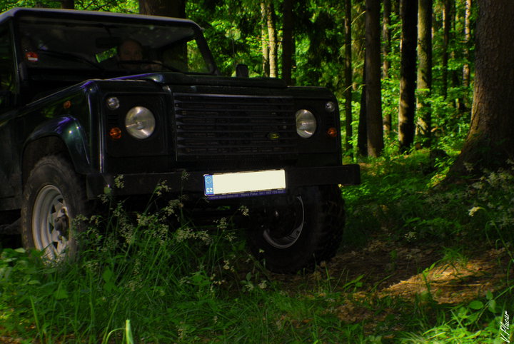 Do lesa je to to nejlepší.