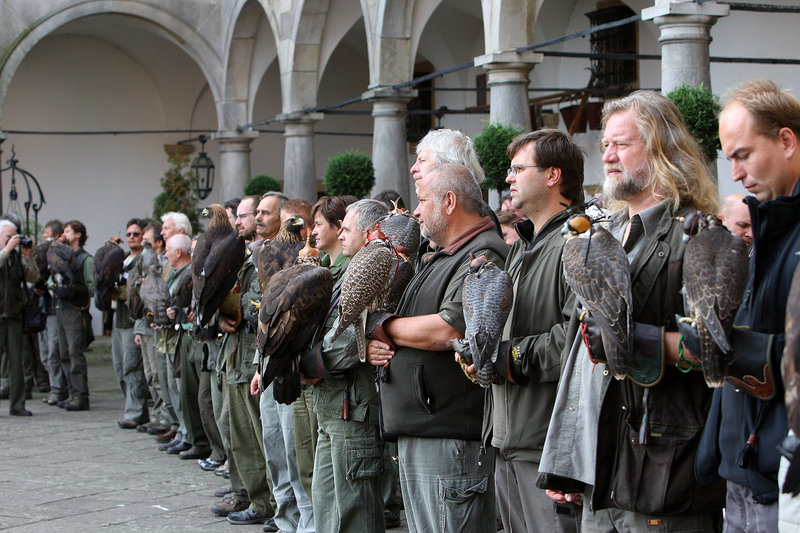 opocno2009.jpg