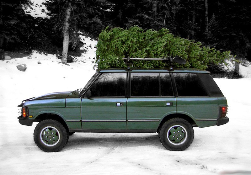 RoverX-masTree.jpg