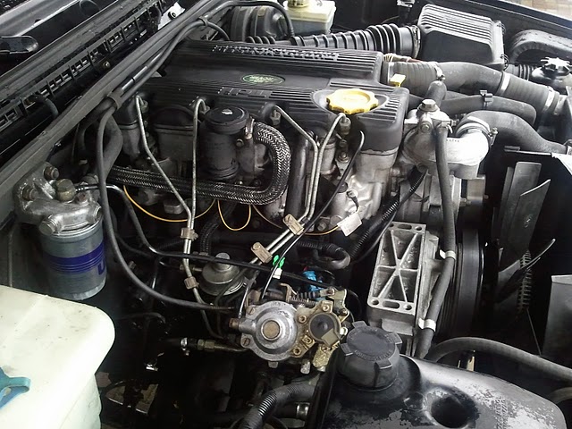 2011-02-13 13_00_19.jpg