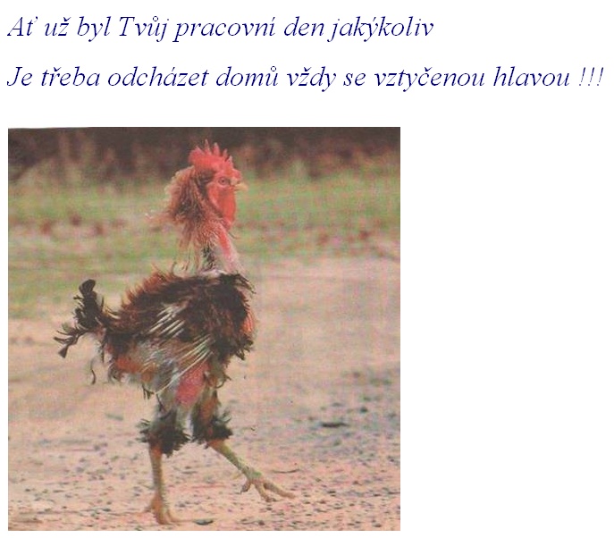 heslo_dne.jpg