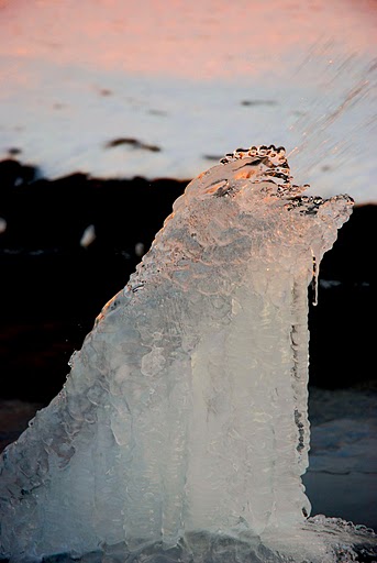 DSC_0265.jpg