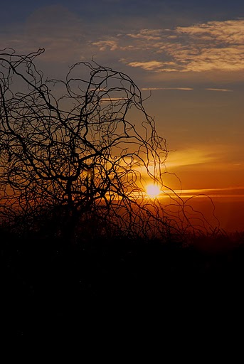 DSC_0276.JPG