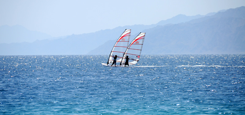 DSC_0103.JPG
