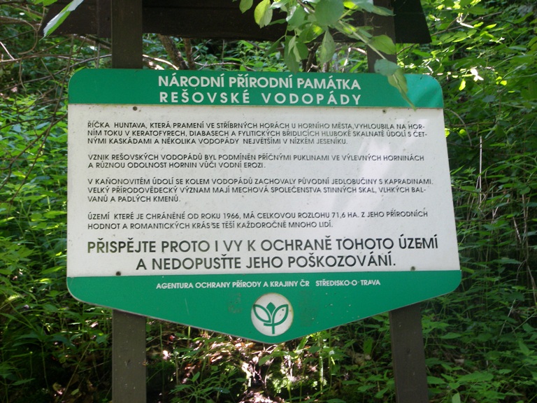 100_4940.JPG