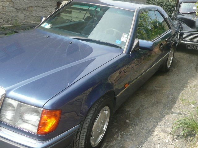 auta 241.jpg