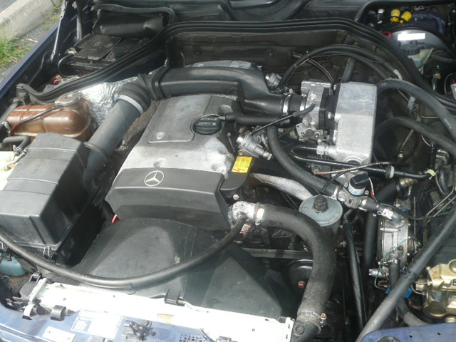 auta 244.jpg