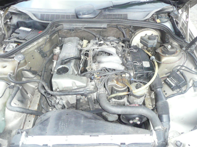 Auta 135.jpg