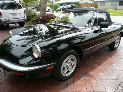 1986_alfa_romeo_spider-pic-15332.jpeg