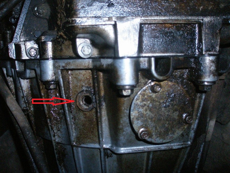 P1010134 [800x600].JPG