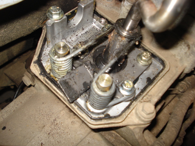 DSC07380.JPG