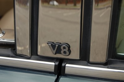 DSC_0131.jpg