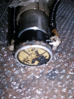 P1010282 [800x600].JPG