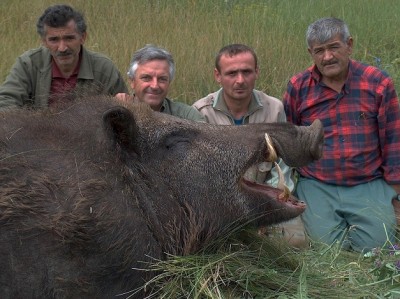 cochon 0.jpg (158.51 KiB) Zobrazeno 6357 x cochon 0.jpg