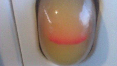 IMAG0437.jpg