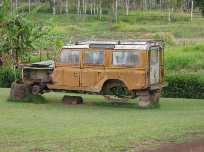 d123.jpg