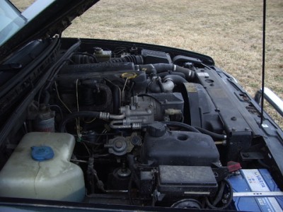IMGP2266.JPG