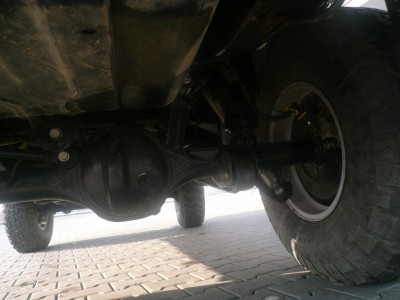 P1040916 (800x600).jpg