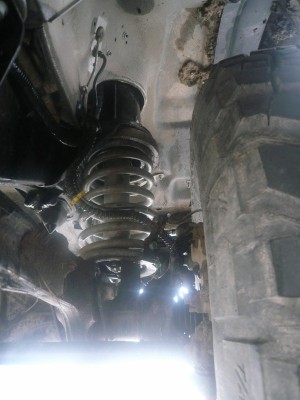 P1040932 (800x600).jpg