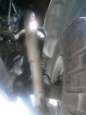 P1040929 (800x600).jpg