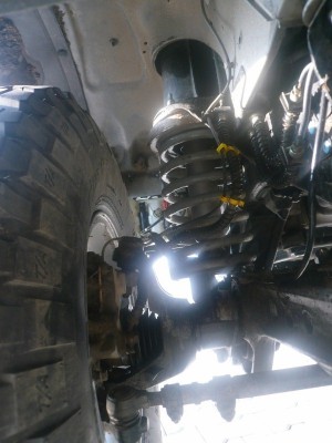 P1040928 (800x600).jpg