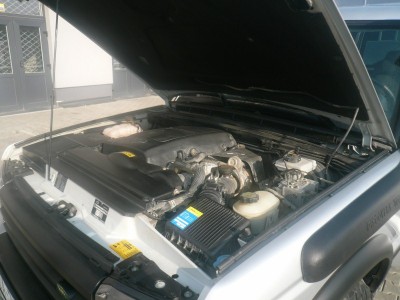 P1040935 (800x600).jpg