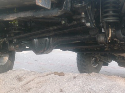 P1040940 (800x600).jpg