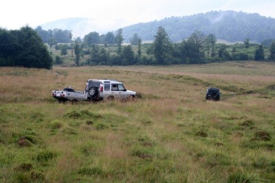 Rumunsko 038 [800x600].jpg