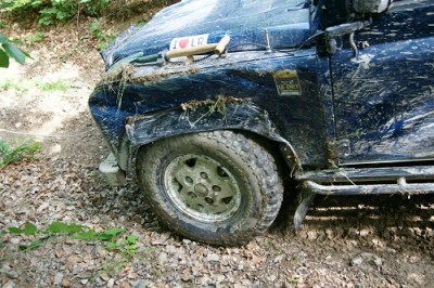 bucek5.jpg