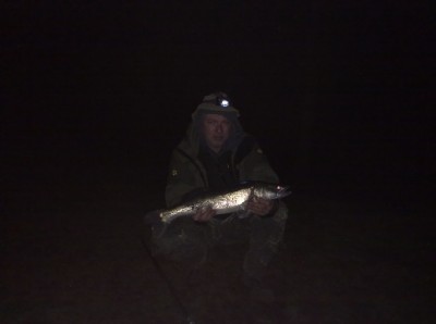 Candoš.jpg (24.48 KiB) Zobrazeno 5067 x Candoš.jpg