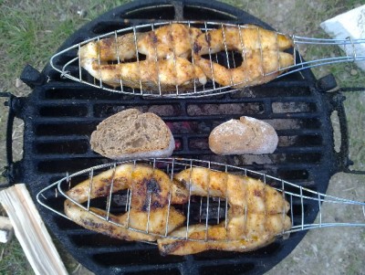 Candoš gril.jpg (176.77 KiB) Zobrazeno 5043 x Candoš gril.jpg