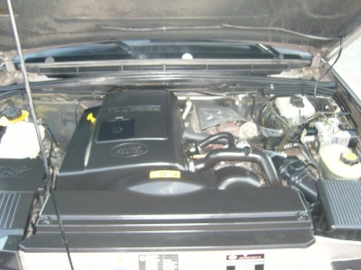 SNC17249.JPG