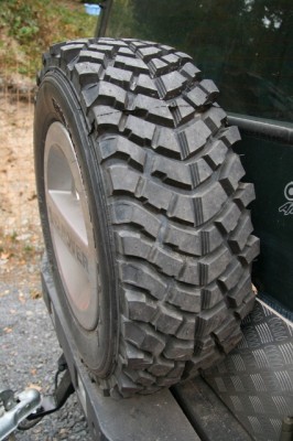 IMG_8864 (426x640).jpg