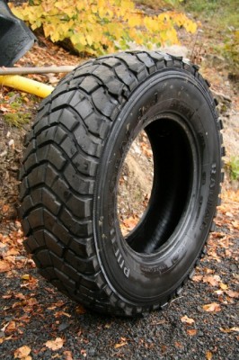 IMG_8869 (426x640).jpg