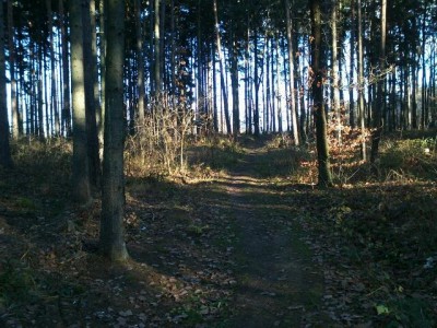 sigle techov.jpg