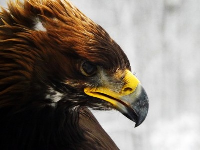 DSCF2884.JPG (214.44 KiB) Zobrazeno 5793 x DSCF2884.JPG