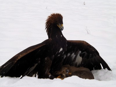 DSCF2881.JPG (182.84 KiB) Zobrazeno 5793 x DSCF2881.JPG