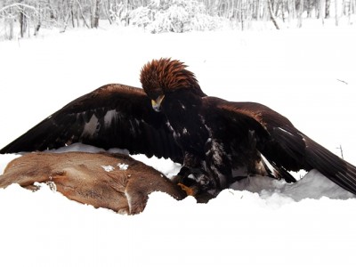 DSCF2887.JPG (153.59 KiB) Zobrazeno 5987 x DSCF2887.JPG